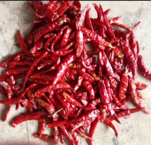 500 GRAM CABE TEJA KERING SUPER PEDAS /CABE SEBLAK