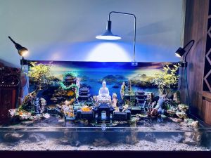 Tiểu cảnh kết hợp thác nước phong thuỷ đẹp độc đáo