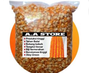 Benih Jagung hiprida kualitas unggul kemasan 1 kg