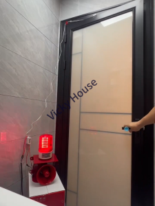 Vicky House 220V Door Magnetic Reed Switch for Wind Curtain Machine Alarm Siren Lamp 1000W Max.