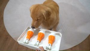 เล่นไม้กลอง สำหรับฝึกสุนัขในร่ม และกลางแจ้ง Forun ของเว็บไซต์ [เมืองเล่นไม้กลอง]