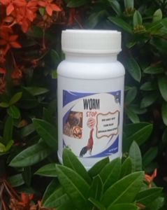 WORM STOP obat 100% herbal sangat ampuh dan manjur dalam mengobati ayam cacingan efek sangat cepat cacing keluar bersamaan dengan kotoran