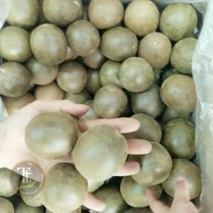 La hán quả khô10 trái (khoảng 170gr) loại lớn không bể vỡ - thanh nhiệt - giải độc - mát gan Thiên Thảo Organic