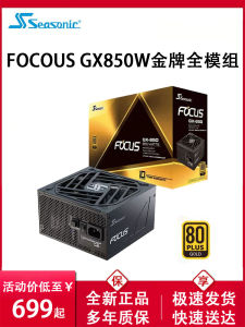 Seasonic FOCUS GX750W Gold Class Full Modular 1000W Desktop Computer ATX3 Main Power Supply Active PFC Multiple 12V Pins