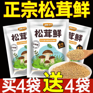 Fengs Yunda Tricholoma Matsutake เครื่องปรุงรสสด 100g รสอเนกประสงค์ Enhancer สําหรับผัดสตูว์และซุป