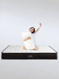 Eco-friendly Coconut Palm 3E Mattress Simmons Functional Spring and Sponge