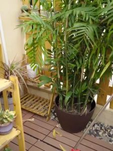 DIY Planting Boxes Vegetable Outdoor Garden Vegetable Pots Oversized Flower Boxes Rectangular Planters 3EWD