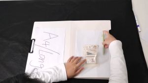 2Pcs Expanding File Folder Organizer Clipboard with Cover Paper Organizer Clip Board Long Size Document Bag 8 Pockets