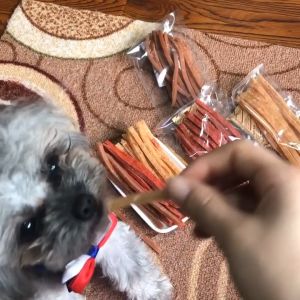 ขนมขัดฟัน 100 กรัม เสริมโปรตีน ธาตุเหล็กสูง ไขมันต่ำ หลากหลายแบบ ขนมหมา ขนมแมว