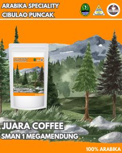 Biji kopi Arabika Cibulao Puncak Bogor
