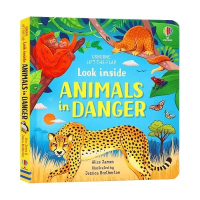 Bộ sách Usborne look Inside – Mở cánh cửa tri thức cho bé yêu ✨