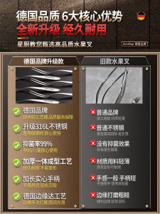 Bộ Nĩa Trái Cây Mini 316l Inox Sang Trọng Món Tráng Miệng Bánh Phím Sử Dụng Thương Mại Tại Nhà Thân Thiện Với Trẻ Em Thanh Lịch Bộ Đồ Ăn