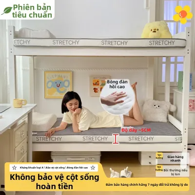 YANXI | Nệm Đa Năng Gấp Được
