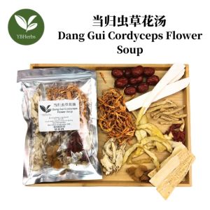 当归虫草花汤 Dang Gui Cordyceps Soup 补血 滋补润肺 药材汤 Dang Gui Chong Cao Hua Tang 4-5 Person Chinese Herbal Soup
