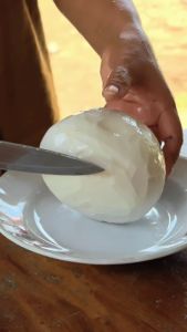 มะพร้าวกะทิน้ำใส เนื้อหนา หนึบ ไม่ฟูมาก คัดเกรด [ถูกสุดในไทย จากสวน]