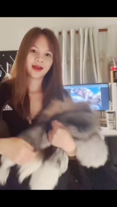 [Che tên + Ảnh Thật] Đuôi Cáo Xù Đẹp Cosplay Đồ Chơi Bộ Đuôi Cáo Nhật Bản Cosplay Nhiều Màu Catgirl Cosplay Cáo 9 Đuôi