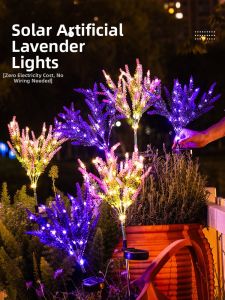 ANQIYUE | Solar Outdoor Waterproof LED Garden Lighting Lamp