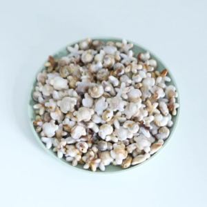 50pcs/lot Ocean Series Acrylic Beads Starfish Conch Turtle Shape Loose Spacer Beads For DIY Charms Bracelet Necklace Accessories