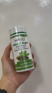 Bellevine Insulin Plant Capsules 100s 500mg Costus igneus Plant Based Food Supplement for Adults Daily Wellness Support Antioxidant Support Botanical Capsule Format Natural Green Leaf Ingredient Convenient Bottle Pack for Routine Use For Daily Intake