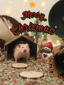 Tafit Hamster Paper Bedding / Tail Tale Hamster Bedding 99% Dust Free / Wood Pulp Bedding For Small Pets Wood Aspen Shaving