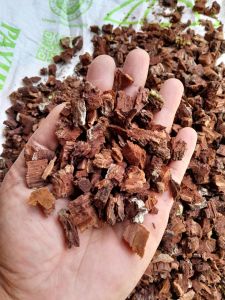 dua kilogram pine bark kulit pinus cacah media tanam anggrek kualitas sangat bagus