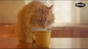 Purepet Original Goat Milk Replacer Powder For Pet 200G