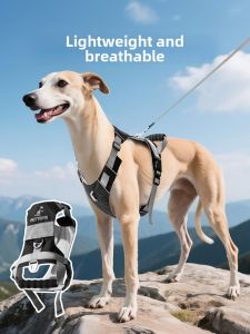 hipidog | Dây Dắt Ngực Hỗ Trợ Cho Chó Từ Kích Cỡ Vừa Đến Lớn