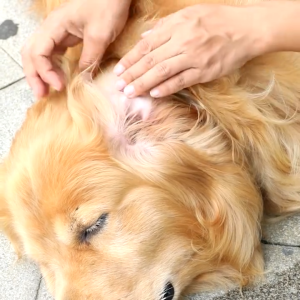 Bioline Ear Care/Eye Care for Dogs Cats and Rabbits