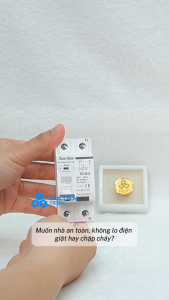 (Rạng Đông) Aptomat chống giật RD.RCBO 16A 20A 25A 32A 40A 50A 63A