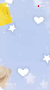 [Thái Tuấn]Vải gấm hoa may áo dài áo bà ba sang trọng