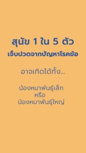 Virbac Movoflex S - soft chew ผลิตภัณฑ์ดูแลข้อต่อของสุนัข น้ำหนักน้อยกว่า 15 กก. เคี้ยวสนุก กินง่าย เหมาะกับทุกวัย - 30 เม็ด