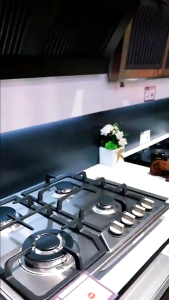 4 Burner Stainless Steel Gas Stove | Built-in Hob with Automatic Flameout Safety | Home Kitchen Cooking Range