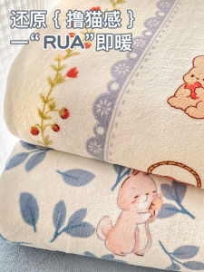 Winter Milk Velvet Coral Fleece Duvet Cover Single Piece Flocked Bedding Cover Cartoon Pattern Warmth Storage Chinese Style