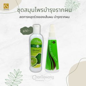 จันทร์สว่าง : ชุดสมุนไพรบำรุงรากผมสมุนไพร ลดการหลุดร่วงของเส้นผม กระตุ้นการสร้างผมใหม่ ชุด 2 ขวด : ของแถม 3 ชิ้น ส่งฟรีจากศูนย์ความงามจันทร์สว่าง