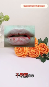 VIVABORONG BUNDLE 10 PCS BIOAQUA Lip Gel Mask Moisturiser Lip Mask Hydrating Collagen Mask Bibir Charming