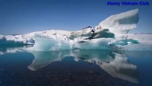 Viên dầu cá chiết xuất cá hồi Alaska hàm lượng cao DHA và EPA giúp sáng mắt cải thiện trí não và tốt cho tim mạch (500mg x 180 viên) - Atomy Alaska E-Omega 3 - 애터미 알래스카 E-오메가3 - Атоми Аляска Е-Омега 3