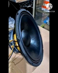 Komponen Speaker Audio Seven AS12700 – 12 Inch Woofer Magnet Besar Original
