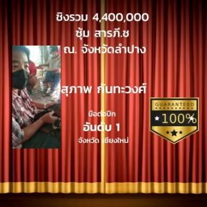 ปีกต่อไก่ชน ปีกไก่ชน 1ชุดมี 40เส้น (ขาว) (สา) (ดู่) (กรด) (หม่น) (ดอก) คัดพิเศษ ไม่เปาะ