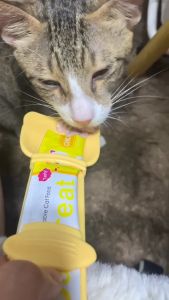Compact Cat Feeder: A Portable Solution for Easy Wet Food Feeding