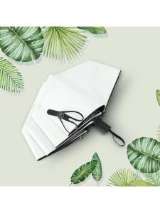 MOLORE | Sun and Rain Women Umbrella 3 Fold