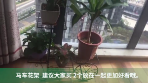 【i.Rumah】 Flower Pot Plant Stand Storage shelf Organizer Plant Shelf Classical Design Iron Design Bookshelf Round For Office Home Garden