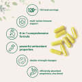 Promo!! Micro Ingredients zinc Quercetin with Vitamin C - 240 Capsule Original USA. 