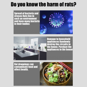 (10 Pcs/Box)No Rats For 365 Days!Rat Glue Board Rat Sticky Glue rat glue trap strong Trap Rat Mice Catcher Board Pest Control Super 老鼠贴 粘鼠板 Board Tikus Papan Pelekat Gum tikus pelekat tikus kuat Rat Terminator Mouse Trap Sticky Boards