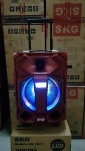 SKG ลำโพง 6.5 นิ้ว เบสหนักๆ ลำโพงบลูทูธเบส 10000 W pmpo แบบมีล้อลาก รุ่น AV-5801