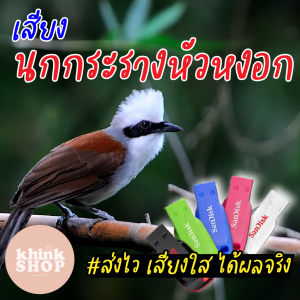 เสียงต่อนกกะรางหัวหงอก เมมเสียงนกกะรางหัวหงอก แฟลชไดร์ฟเสียงต่อนกกะรางหัวหงอก เสียงนกกะรางหัวหงอก