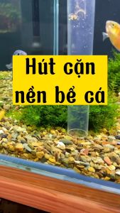 Hút cặn bể cá AS666- Thay nước bể cá- Dụng cụ vệ sinh hồ cá cảnh