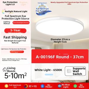 Smile | Full Spectrum Eye-protecting Ceiling Light