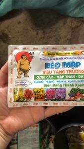 Phân bón lá BÉO MẬP siêu tăng trưởng