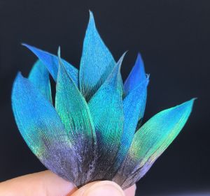 Tian-Tsui DIY Material Peacock Parrot Blue Lens Selected Emerald Sizing over Feather Rare Jewelry Filigree Inlaid