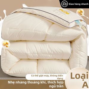 Yuzhaolin | Chăn Mỏng Đa Mùa Dành Cho Sinh Viên